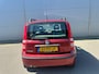 Fiat Panda 1.1 Active Plus | NAP | Nieuw APK 20-5-2026