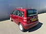 Fiat Panda 1.1 Active Plus | NAP | Nieuw APK 20-5-2026