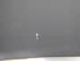 Skoda Octavia Combi 1.4 TSI iV PHEV Business Edition | Head-Up Display | Panoramadak | ACC!