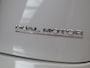 Tesla Model 3 3 Performance AWD 486pk 75 kWh [ WIT LEDER+AUTOPILOT+530KM WLTP+PREMIUM AUDIO ]