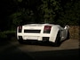 Lamborghini Gallardo 5.0 V10 Spyder Gated Six!