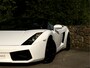 Lamborghini Gallardo 5.0 V10 Spyder Gated Six!