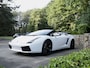 Lamborghini Gallardo 5.0 V10 Spyder Gated Six!