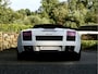 Lamborghini Gallardo 5.0 V10 Spyder Gated Six!