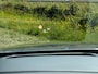 Audi Q7 55 TFSI e Quattro S-Line Pano Trekhaak HUD Matrix Camera