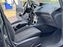 Ford Fiesta 1.0 Style Ultimate 2017 Navi 1e eigenaar