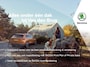 Skoda Superb Combi 1.4 TSI 218pk iV Laurin & Klement | Elektr. voorstoelen incl. geheugen | Lederen bekleding | Stoelverwarming & koeling | Adaptieve cruise control |