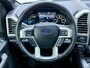 Ford F-150 FORD PLATINUM Panorama|Prins LPG|360cam