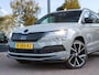 Skoda Karoq 1.5 TSI 150PK Sportline Business DSG | Camera | Trekhaak