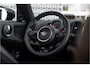 MINI Countryman Mini 2.0 Cooper S | Leder interieur | Panoramadak | Camera | Carplay | Head up