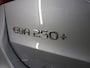 Mercedes-Benz EQA 250+ AMG Line Apple Carplay | Dode Hoek | Panoramadak | Nightpakket | Trekhaak | Headup display | Burmester Sound | 360 Camera | Adaptief Grootlicht ass.