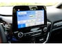 Ford Fiesta 1.0 EcoBoost ST-Line 5-drs Clima|Apple CarPlay|LMV|Cruise