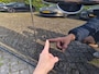 Volvo V60 1.6 T3 Momentum AUTOMAAT ✅NIEUWE APK ✅TREKHAAK