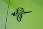 Abarth 500 Cabrio Scorpionissima 42 kWh 155 PK 