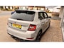 Skoda Fabia 1.0 TSI Greentech 95pk Monte Carlo