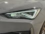 CUPRA Leon 2022 / 301PK DSG LED PANO LEDER CAMERA CRUISE CAR-PLAY