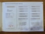 BMW Z4 Roadster 3.0i S Handbak Sportstoelen Youngtimer