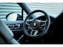 Porsche Cayenne Coupé 2.9 S / Sport Design Carbon / Pepita / Trekhaak