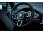 Porsche Cayenne Coupé 2.9 S / Sport Design Carbon / Pepita / Trekhaak