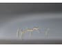 Volkswagen Polo 1.4 Comfortline Airco, Radio cd speler, Elektrische ramen