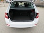 Skoda Fabia Combi 1.0 TSI 95Pk Business Edition * Rijklaarprijs incl. garantie * Panoramadak * Carplay Android * Led Koplampen * Navi