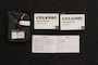 Suzuki Celerio 1.0 Comfort Plus 