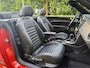 Volkswagen Beetle Cabriolet 1.4 TSI Sport R-Line | Navi | Clima | Cruise | Leder | Camera | Windscherm |