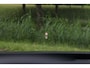 Volkswagen Passat Variant 1.5 eHybrid 272PK R-Line Black Style Pano/IQ.Light/360/HK/Head-up/Navi Max/ACC/19"/Trekhaak wegkl.