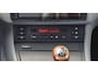 BMW 3-Serie 318i Executive Clima 17"LM velgen