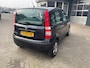 Fiat Panda 1.2 Dynamic 159261 KM BJ 2005