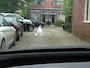 BMW iX XDrive40 High Executive 77 kWh