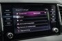 Skoda Karoq 1.5 TSI ACT 150PK BUSINESS ED. Pano/Virtual/Trekh/Stoelverw