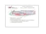 Kia Picanto 1.0 CVVT ComfortPlusLine Navigator - Navigatie - Camera - Licht metalen velgen - 12 maanden garantie