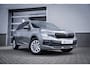 Skoda Kamiq 1.0 TSI 110pk DSG Ambition | Achteruitrijcamera | Cruise control | Volledig digitaal instrumentenpaneel groot