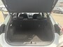 Ford Puma 1.0 EcoBoost Hybrid Titanium - SCHUIF- KANTELDAK - TREKHAAK - WINTER PACK