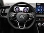 Skoda Kodiaq 1.5 TSI MHEV Business Edition 150PK DSG matrix led, trekhaak, schuif-kanteldak, achteruitrijcamera, adaptive cruise, side assist, keyless, elek, verstelbare voorstoel, 19" lichtmetaal