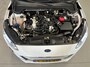 Ford Focus WAGON 1.0 ECOBOOST 125 PK Trend Edition Business I TREKHAAK I WINTERPACK I CARPLAY I LED I NAP I 2E EIG I BTW I Holland
