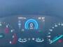 Ford Focus WAGON 1.0 ECOBOOST 125 PK Trend Edition Business I TREKHAAK I WINTERPACK I CARPLAY I LED I NAP I 2E EIG I BTW I Holland