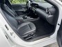 Mercedes-Benz A-klasse 250e Business Solution Luxury Limited Camera, PDC, Enz.