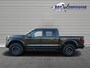 Ford F-150 Raptor 2024 37 PACKAGE B OF C RIJBEWIJS