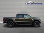 Ford F-150 Raptor 2024 37 PACKAGE B OF C RIJBEWIJS