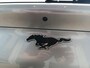 Ford Mustang Mach-E RWD 75 kWh Panoramadak | Adaptive Cruise | B&O | Trekhaak