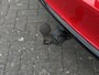 Skoda Octavia Combi 1.4 TSI RS iV PHEV Business Trekhaak | ACC | Dodehoek | Keyless | Camera