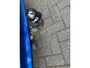 Renault Clio BWJ 2007 1.2-16V 75 PK Dynamique TREKHAAK | AIRCO | LMV | MULTIFUNCT. STUUR | CENTR. VERGR. AFST.