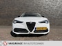 Alfa Romeo Stelvio 2.0 T AWD Carbon, Pano