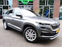 Skoda Kodiaq 1.5 TSI DSG Business Edition Plus Wegklapbare trekhaak - Stoelverwarming V+A - Voorruitverwarming - Stuurwielverwarming - Extra getint glas - NL auto