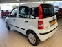 Fiat Panda 1.2 Active wij frissen de voorraad op - prijzen zijn tegen meeneemprijs Nette Panda