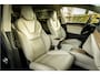 Tesla Model X 100D 6-Persoons 22" Turbine Enhanced Autopilot