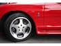 Ford Mustang COBRA SVT 11K ORGINELE MILES! | 305 PK | V8 | HANDBAK | LEDER | CRUISE | AIRCO |