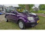 Fiat Panda 1.2 Edizione Cool